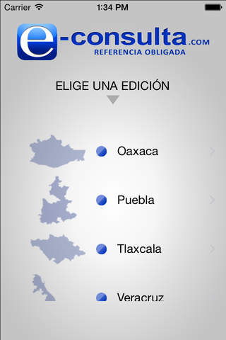 e-consulta - náhled