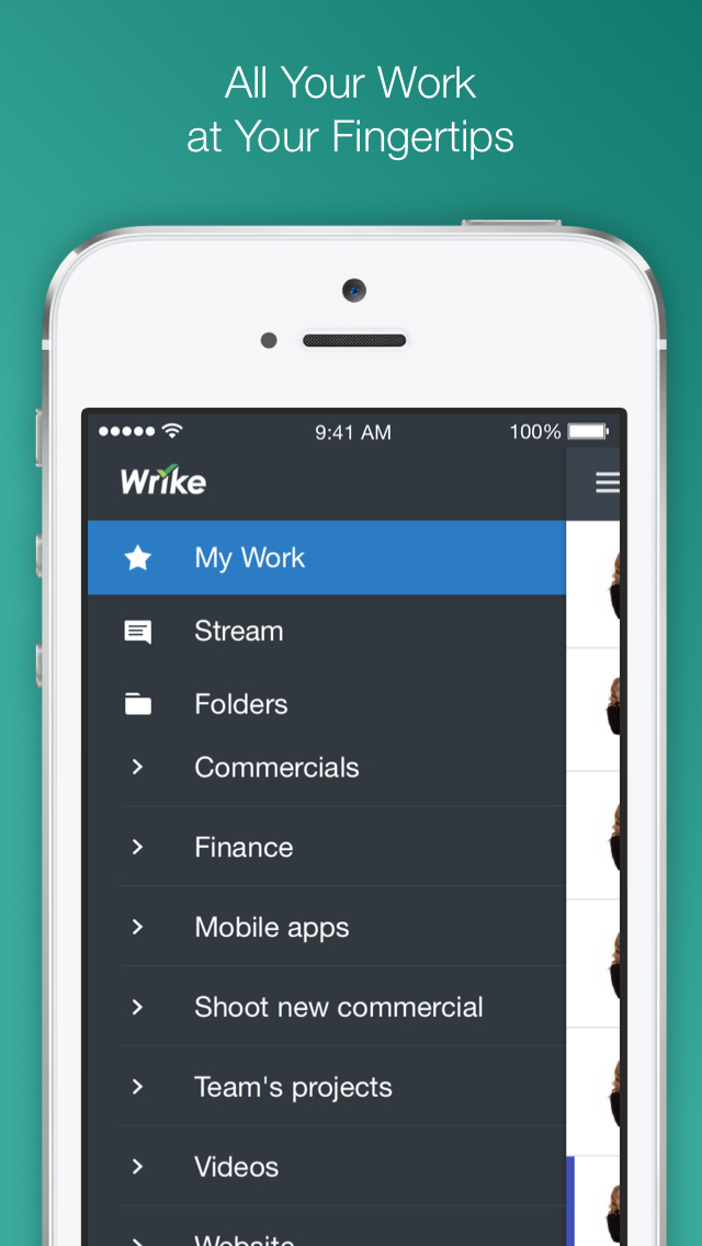 Wrike image #1