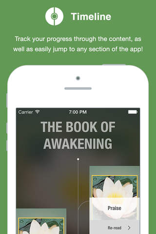The Book of Awakening - náhled