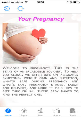 Your Pregnancy Free - náhled