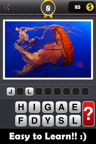 Animalmania - Guess Animals from around the World  - náhled