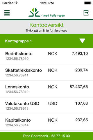 Etne Sparebank Bedrift - náhled