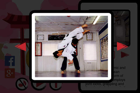 The Best Martial Arts - náhled