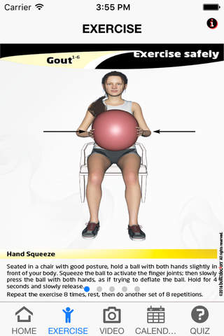 Exercise Gout - náhled