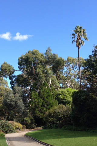 Burnley Gardens Walk - náhled