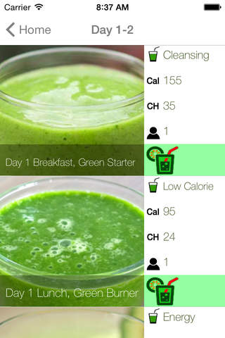 2 Week Raw Smoothie Challenge - náhled
