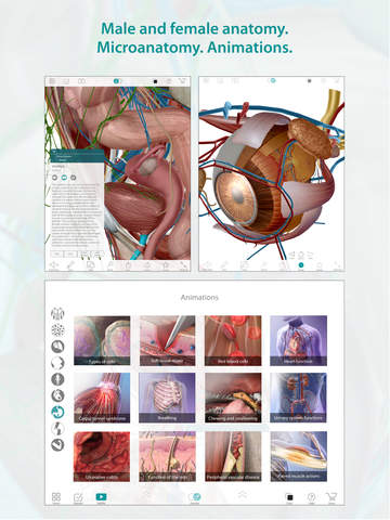 Human Anatomy Atlas – 3D Anatomical Model of the Human Body screenshot 8