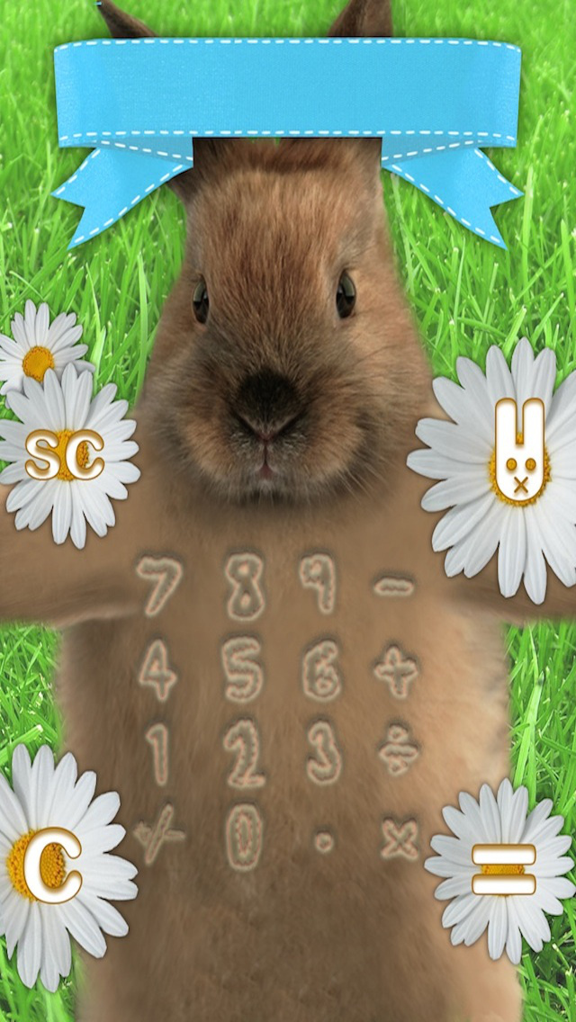 Kitten Calculator screenshot 4
