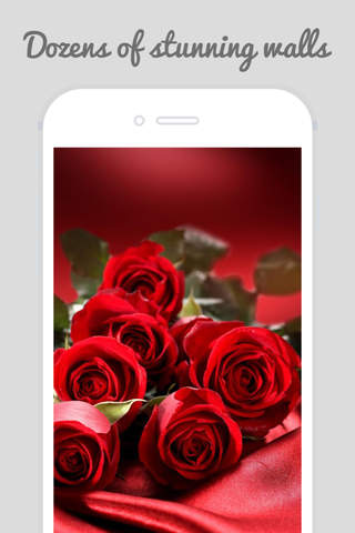 Trendy Roses - Best Collection of Rose Wallpapers - náhled