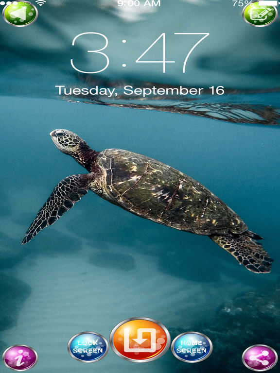 Underwater Wallpaper&Sea World Lock Screen Image.s | Apps | 148Apps