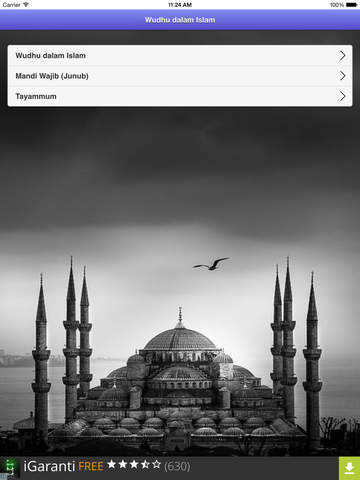 Tata Cara Berwudhu - náhled