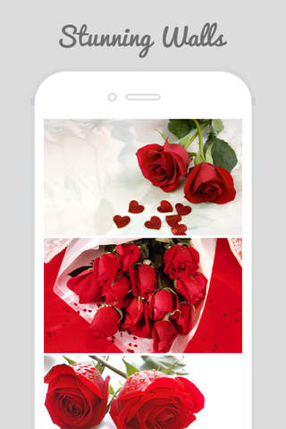 Trendy Roses - Best Collection of Rose Wallpapers - náhled