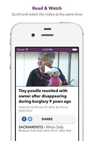 WGNO News - New Orleans - náhled