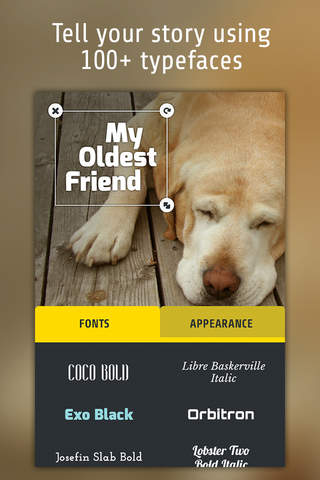 Subtitle Video: Add Text to Videos for YouTube - náhled