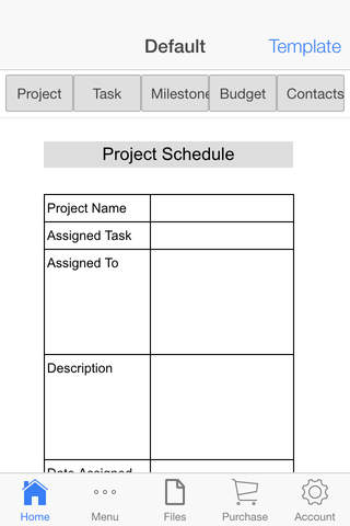 Project Schedule - náhled