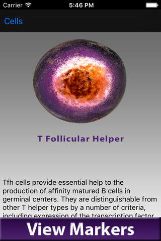 BioLegend Cell Markers - náhled