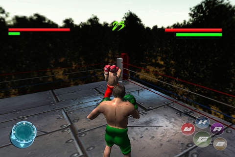 International Real Boxing Champion Game - náhled