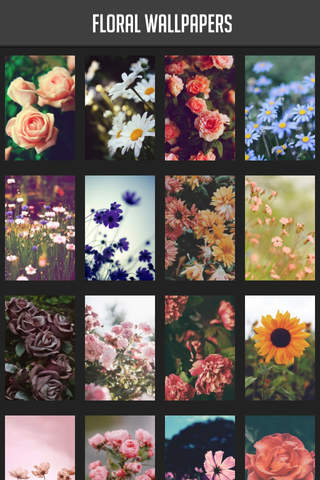 Floral Wallpapers - náhled