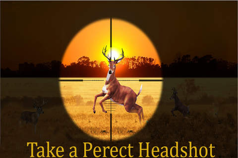 African Deer Hunting 2016:Animal Hunting Challenge - náhled