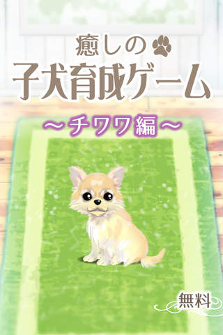 My Dog Life -Chihuahua Edition- - náhled