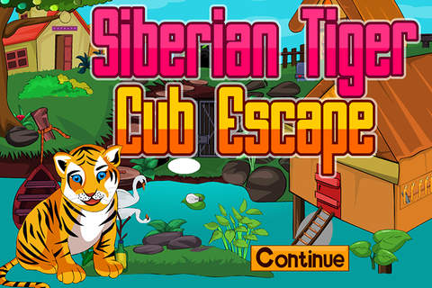 Siberian Tiger Cup Escape - náhled