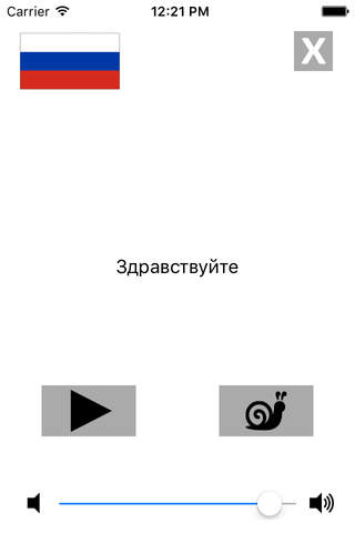 Russian / Italian Talking Phrasebook Translator Di - náhled