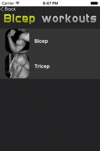 Bicep Workout - náhled