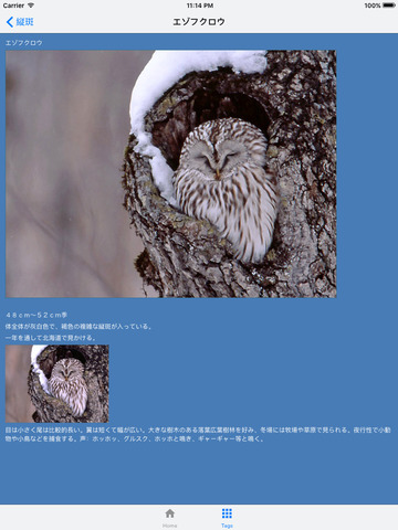 野鳥図鑑 screenshot 7