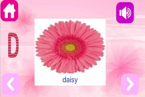 Flowers Flash Cards - Fruits And Vegetables Name L - náhled