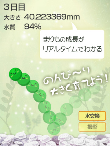 Marimo Game Free - náhled
