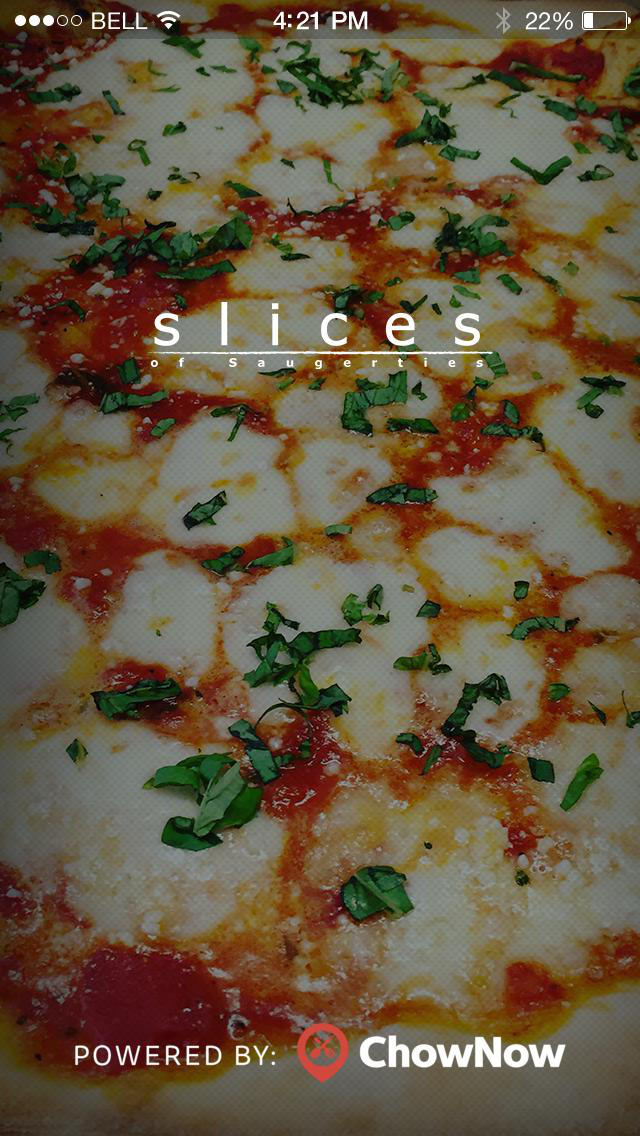 Slices of Saugerties screenshot 1