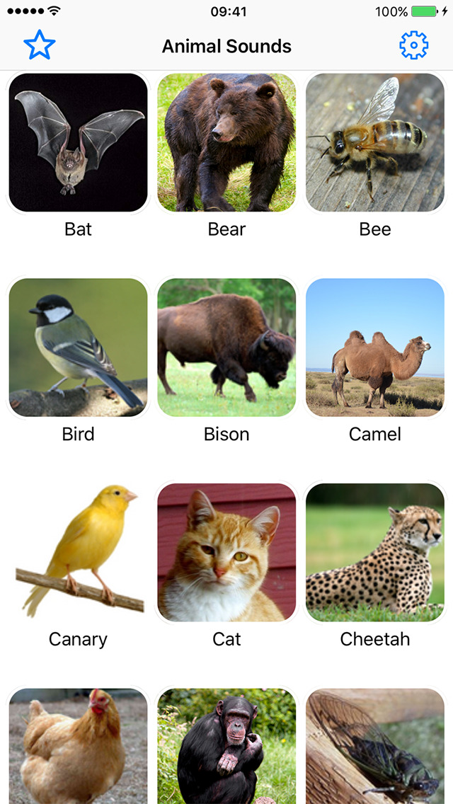 Animal sounds. Animals Sounds. Sounds of animal Kingdom. Sounds for Kids APK Farm Jungle Birds cars Musical. Sounds Farm Jungle Birds Trainsport Musical instruments APK.