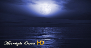 Moonlight Ocean HD screenshot 1