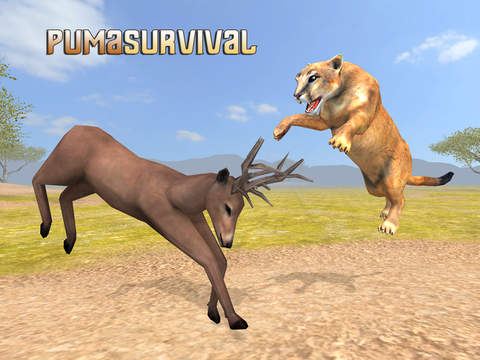 Puma Survival Simulator - náhled