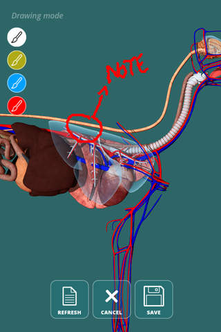 Visual Anatomy - Canine - náhled