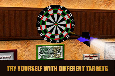 Darts Master Championship 3D - náhled