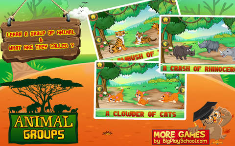 Animal Groups - Learn Animals - náhled
