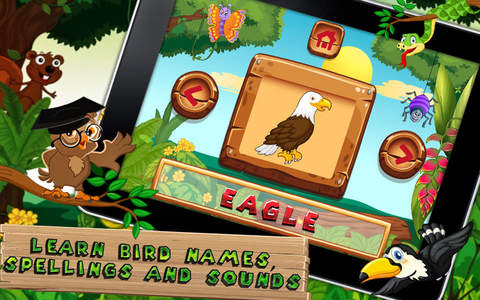Which Bird - Kids e-Learning - náhled