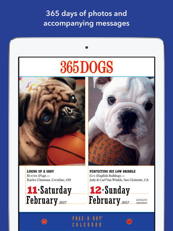 365 Dogs Page-A-Day Calendar 2017 screenshot 8