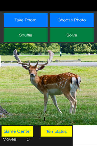 Pica Puzzle - náhled