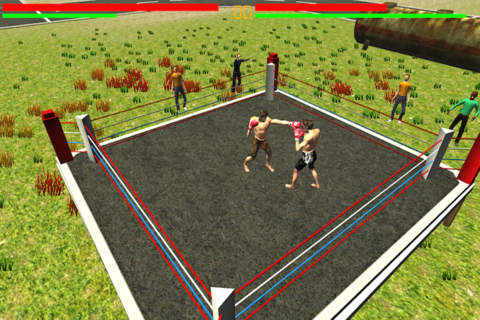 Real Punch Boxing - náhled