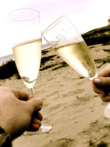 Champagne Glasses Design Ideas, Wine Glass Designs screenshot 6