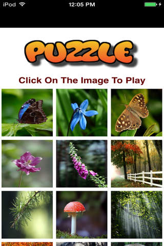 Amazing Nature Puzzle Game - náhled