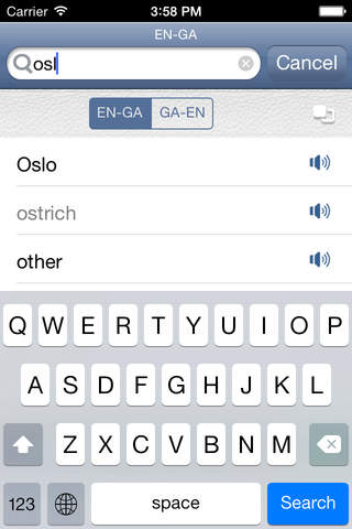 Irish<>English Dictionary - náhled