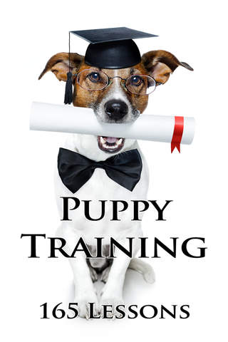 Puppy Training - náhled