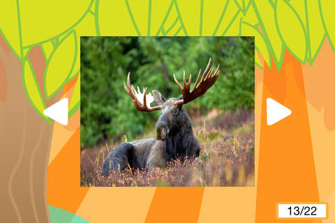 The Best Animal Sounds - náhled