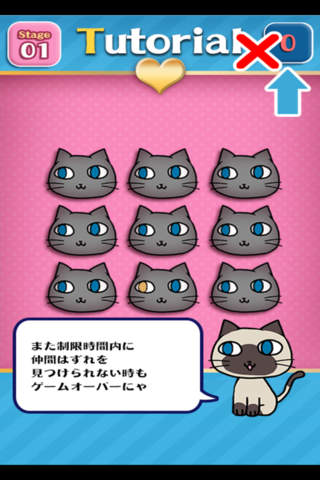 Brain Training - Aha cat looking - náhled