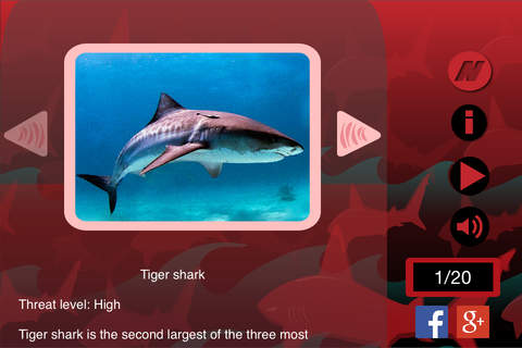 The Best Sharks - náhled
