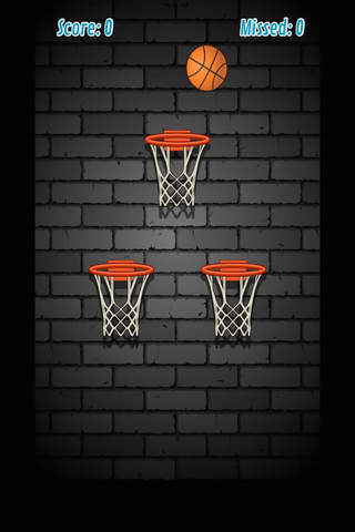 Crazy Basketball Fun - náhled