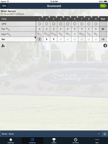 Silver Spruce Golf Course screenshot 8